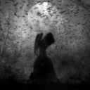 aimlessly-seeking avatar