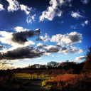 aims2001-blog avatar