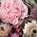 aimyofbeesforhl avatar