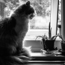 aimz-d-photography avatar