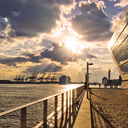 airbnbexperiences avatar