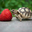 airdnaxelatrix-blog avatar