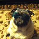 airforcevet1995-blog avatar