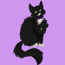 airmitchbaby avatar