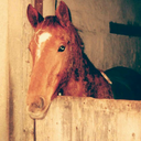 ais2111-blog-blog avatar