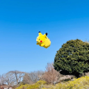 aizawastapeworm avatar