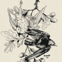 aizthespacecowboy avatar