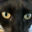 ajoogieboogie avatar