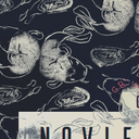 aka-noviembre avatar