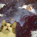 akah-idiotboy avatar