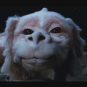 akashaevenstar avatar