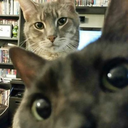 akashaisnthere avatar