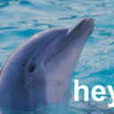 akceleracjonizm avatar