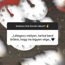 akicsaklelegzik avatar