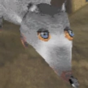 akiradrabbles avatar