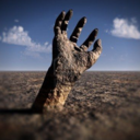 akitachan0422 avatar