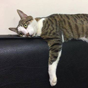 akizero-blog1 avatar