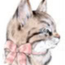 akjeshdjhkqljkqawjn avatar