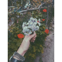 aklimabiseygelmiyoooki avatar