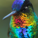 akmescribbles avatar