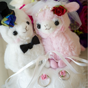 akoko-wasanbon avatar