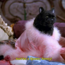 aksamaksambukeder avatar