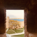 akvaryumdakiadam avatar