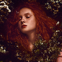 akvka-lebens97 avatar