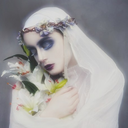 alabaster-reverie-blog-blog avatar