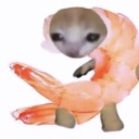 alabastercatfish avatar