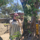 alacaliyapboz avatar