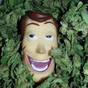 alamed4-weed-blog avatar