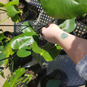 alan-of-the-rickman394 avatar