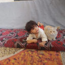 alanqar-nader avatar