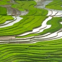 alariandarkwind avatar