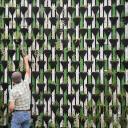 alaric-saltzman avatar