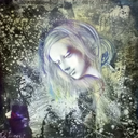 alarum-within avatar