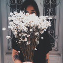 alascayoungus avatar