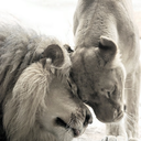 alaska-j-blues avatar