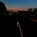 alaska-wolf22 avatar