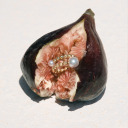 alateafternoon avatar