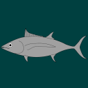 albacore-fish-or-aesthetic avatar