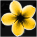 albaplumeria-blog-blog avatar