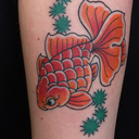 albertobalboa avatar