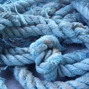 albertomandarino avatar