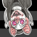albino-bat avatar