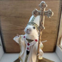 alborgespedroza avatar