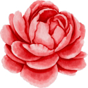 albywritesfiction avatar