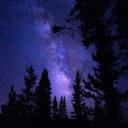 alchemicalalice avatar