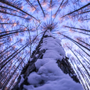 alchemistwriter avatar